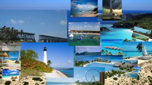 Seagulls reference art